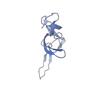 15558_8ap4_t_v1-2
Structure of Escherischia coli heat shock protein Hsp15 in complex with ribosomal 50S subunits bearing peptidyl-tRNA