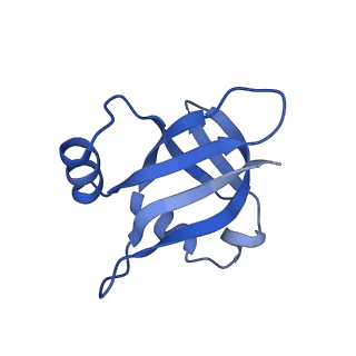 15558_8ap4_u_v1-2
Structure of Escherischia coli heat shock protein Hsp15 in complex with ribosomal 50S subunits bearing peptidyl-tRNA
