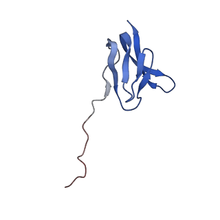 15558_8ap4_v_v1-2
Structure of Escherischia coli heat shock protein Hsp15 in complex with ribosomal 50S subunits bearing peptidyl-tRNA