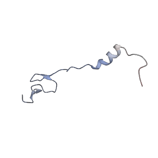 15558_8ap4_z_v1-2
Structure of Escherischia coli heat shock protein Hsp15 in complex with ribosomal 50S subunits bearing peptidyl-tRNA