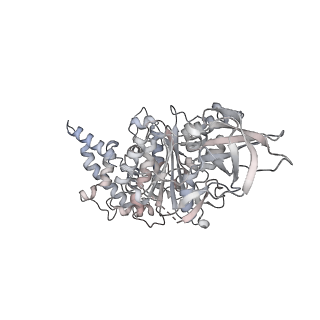 15559_8ap6_A1_v1-0
Trypanosoma brucei mitochondrial F1Fo ATP synthase dimer