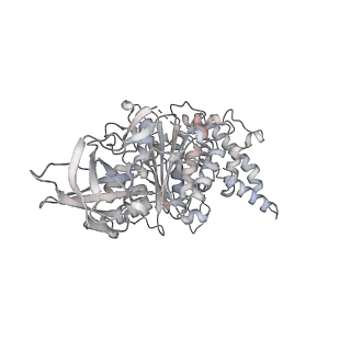15559_8ap6_A2_v1-0
Trypanosoma brucei mitochondrial F1Fo ATP synthase dimer