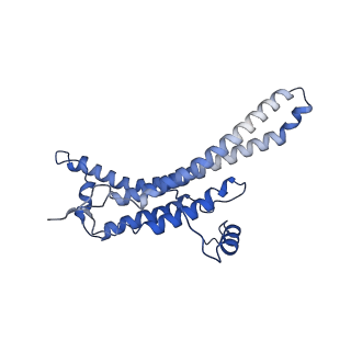 15559_8ap6_A_v1-0
Trypanosoma brucei mitochondrial F1Fo ATP synthase dimer