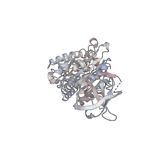 15559_8ap6_B1_v1-0
Trypanosoma brucei mitochondrial F1Fo ATP synthase dimer