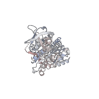 15559_8ap6_B2_v1-0
Trypanosoma brucei mitochondrial F1Fo ATP synthase dimer