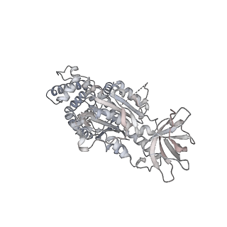 15559_8ap6_C1_v1-0
Trypanosoma brucei mitochondrial F1Fo ATP synthase dimer