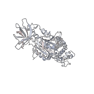 15559_8ap6_C2_v1-0
Trypanosoma brucei mitochondrial F1Fo ATP synthase dimer