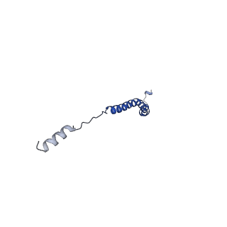 15559_8ap6_C_v1-0
Trypanosoma brucei mitochondrial F1Fo ATP synthase dimer