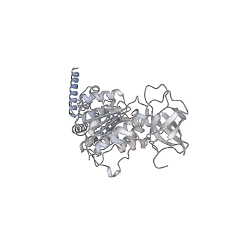 15559_8ap6_D1_v1-0
Trypanosoma brucei mitochondrial F1Fo ATP synthase dimer