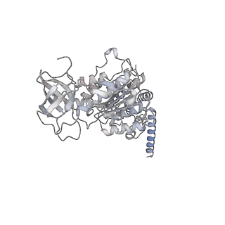 15559_8ap6_D2_v1-0
Trypanosoma brucei mitochondrial F1Fo ATP synthase dimer