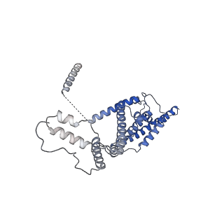 15559_8ap6_D_v1-0
Trypanosoma brucei mitochondrial F1Fo ATP synthase dimer