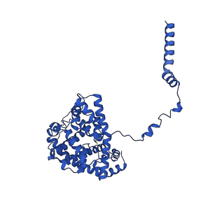 15559_8ap6_E_v1-0
Trypanosoma brucei mitochondrial F1Fo ATP synthase dimer