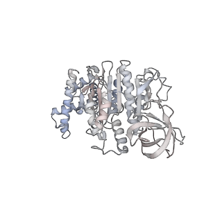 15559_8ap6_F1_v1-0
Trypanosoma brucei mitochondrial F1Fo ATP synthase dimer