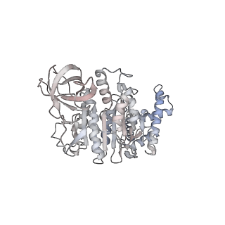 15559_8ap6_F2_v1-0
Trypanosoma brucei mitochondrial F1Fo ATP synthase dimer