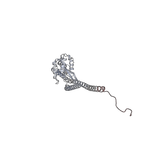 15559_8ap6_G1_v1-0
Trypanosoma brucei mitochondrial F1Fo ATP synthase dimer