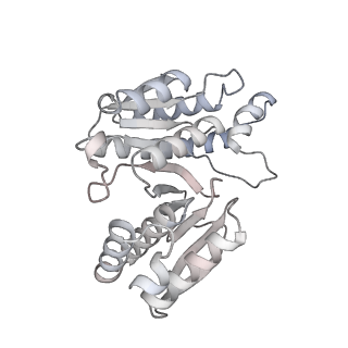 15559_8ap6_G_v1-0
Trypanosoma brucei mitochondrial F1Fo ATP synthase dimer