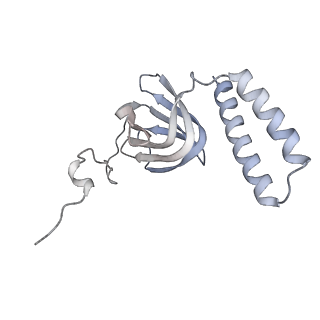 15559_8ap6_H2_v1-0
Trypanosoma brucei mitochondrial F1Fo ATP synthase dimer