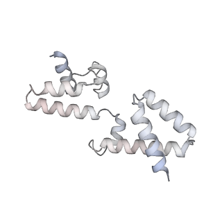 15559_8ap6_H_v1-0
Trypanosoma brucei mitochondrial F1Fo ATP synthase dimer