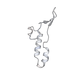 15559_8ap6_I1_v1-0
Trypanosoma brucei mitochondrial F1Fo ATP synthase dimer