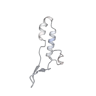 15559_8ap6_I2_v1-0
Trypanosoma brucei mitochondrial F1Fo ATP synthase dimer