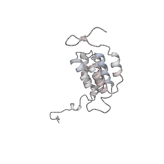 15559_8ap6_J1_v1-0
Trypanosoma brucei mitochondrial F1Fo ATP synthase dimer
