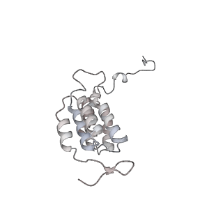 15559_8ap6_J2_v1-0
Trypanosoma brucei mitochondrial F1Fo ATP synthase dimer