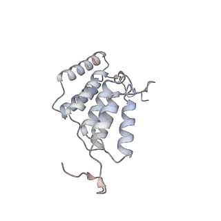 15559_8ap6_K1_v1-0
Trypanosoma brucei mitochondrial F1Fo ATP synthase dimer