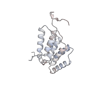 15559_8ap6_K2_v1-0
Trypanosoma brucei mitochondrial F1Fo ATP synthase dimer