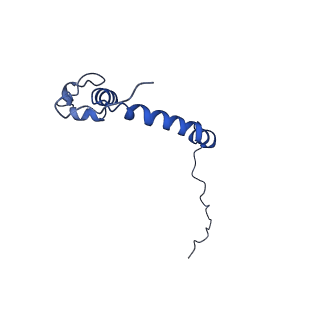 15559_8ap6_K_v1-0
Trypanosoma brucei mitochondrial F1Fo ATP synthase dimer
