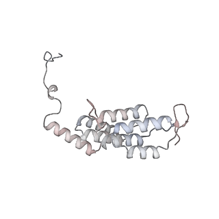 15559_8ap6_L1_v1-0
Trypanosoma brucei mitochondrial F1Fo ATP synthase dimer