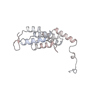 15559_8ap6_L2_v1-0
Trypanosoma brucei mitochondrial F1Fo ATP synthase dimer