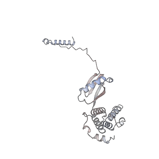 15559_8ap6_M1_v1-0
Trypanosoma brucei mitochondrial F1Fo ATP synthase dimer