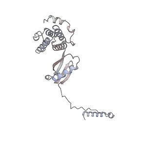 15559_8ap6_M2_v1-0
Trypanosoma brucei mitochondrial F1Fo ATP synthase dimer