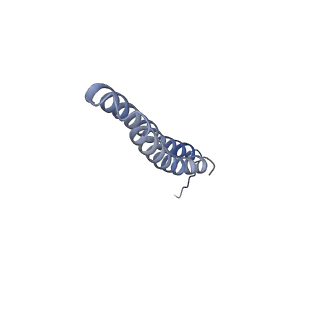 15559_8ap6_O2_v1-0
Trypanosoma brucei mitochondrial F1Fo ATP synthase dimer
