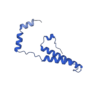 15559_8ap6_O_v1-0
Trypanosoma brucei mitochondrial F1Fo ATP synthase dimer