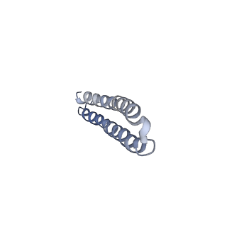 15559_8ap6_P1_v1-0
Trypanosoma brucei mitochondrial F1Fo ATP synthase dimer