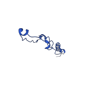 15559_8ap6_P_v1-0
Trypanosoma brucei mitochondrial F1Fo ATP synthase dimer