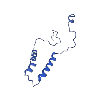 15559_8ap6_Q_v1-0
Trypanosoma brucei mitochondrial F1Fo ATP synthase dimer
