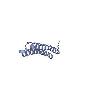 15559_8ap6_R2_v1-0
Trypanosoma brucei mitochondrial F1Fo ATP synthase dimer
