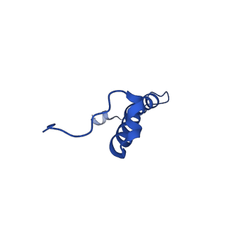 15559_8ap6_R_v1-0
Trypanosoma brucei mitochondrial F1Fo ATP synthase dimer