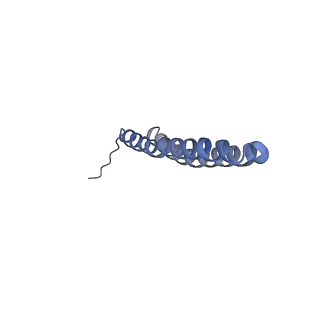 15559_8ap6_S1_v1-0
Trypanosoma brucei mitochondrial F1Fo ATP synthase dimer