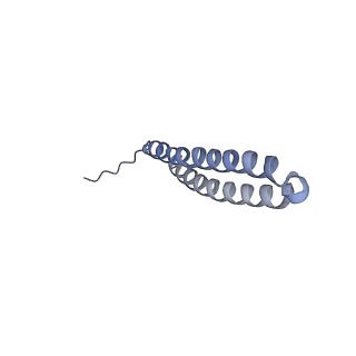 15559_8ap6_T1_v1-0
Trypanosoma brucei mitochondrial F1Fo ATP synthase dimer