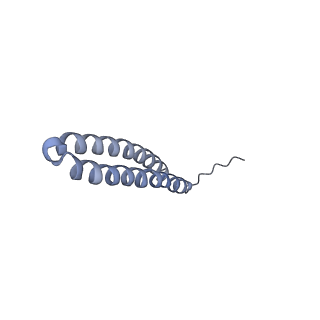 15559_8ap6_T2_v1-0
Trypanosoma brucei mitochondrial F1Fo ATP synthase dimer
