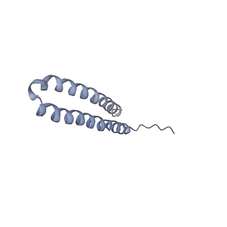 15559_8ap6_U2_v1-0
Trypanosoma brucei mitochondrial F1Fo ATP synthase dimer
