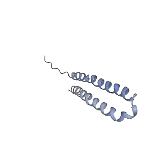15559_8ap6_V1_v1-0
Trypanosoma brucei mitochondrial F1Fo ATP synthase dimer