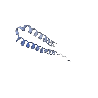 15559_8ap6_V2_v1-0
Trypanosoma brucei mitochondrial F1Fo ATP synthase dimer
