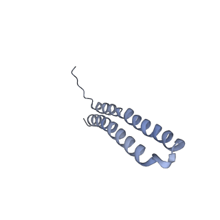 15559_8ap6_W1_v1-0
Trypanosoma brucei mitochondrial F1Fo ATP synthase dimer