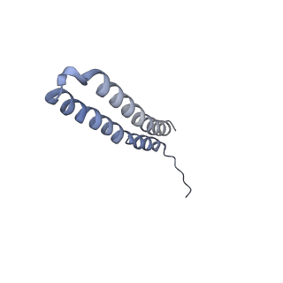 15559_8ap6_W2_v1-0
Trypanosoma brucei mitochondrial F1Fo ATP synthase dimer