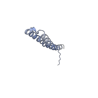 15559_8ap6_X2_v1-0
Trypanosoma brucei mitochondrial F1Fo ATP synthase dimer