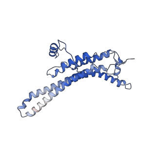 15559_8ap6_a_v1-0
Trypanosoma brucei mitochondrial F1Fo ATP synthase dimer